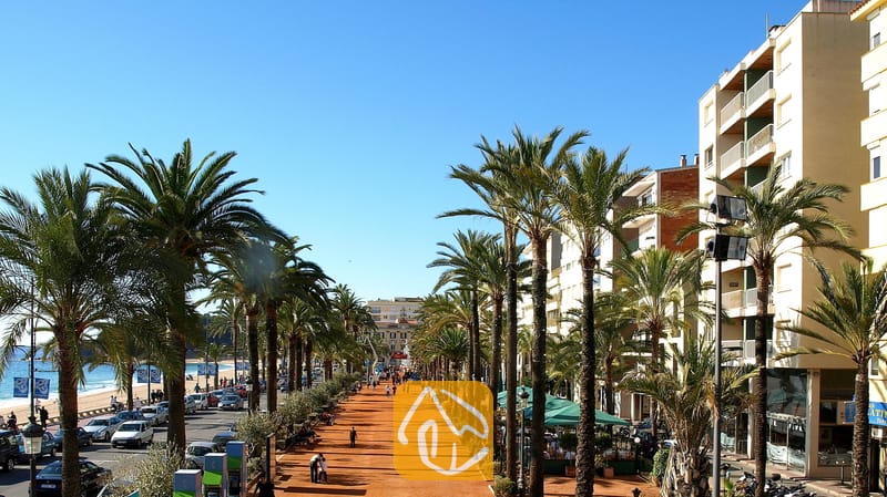 Villas de vacances Costa Brava Espagne - Villa Pilar - Promenade ensoleillée bordée de grands palmiers et d'immeubles résidentiels de plusieurs étages le long d'une rue côtière en Espagne.