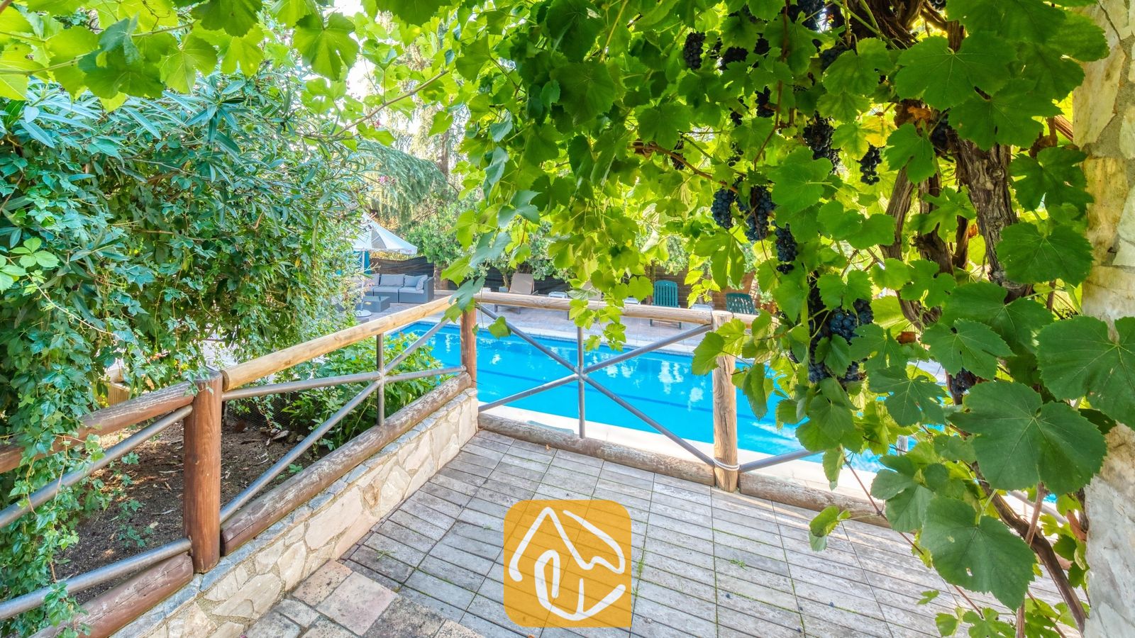 Vakantievilla's Costa Brava Countryside Spanje - Villa Can Bernardi - Houten balustrade en betegeld terras bij Villa Can Bernardi, omlijst door wijngaarden met rijpe, donkere druiven en groene bladeren, met uitzicht op een blauw zwembad.