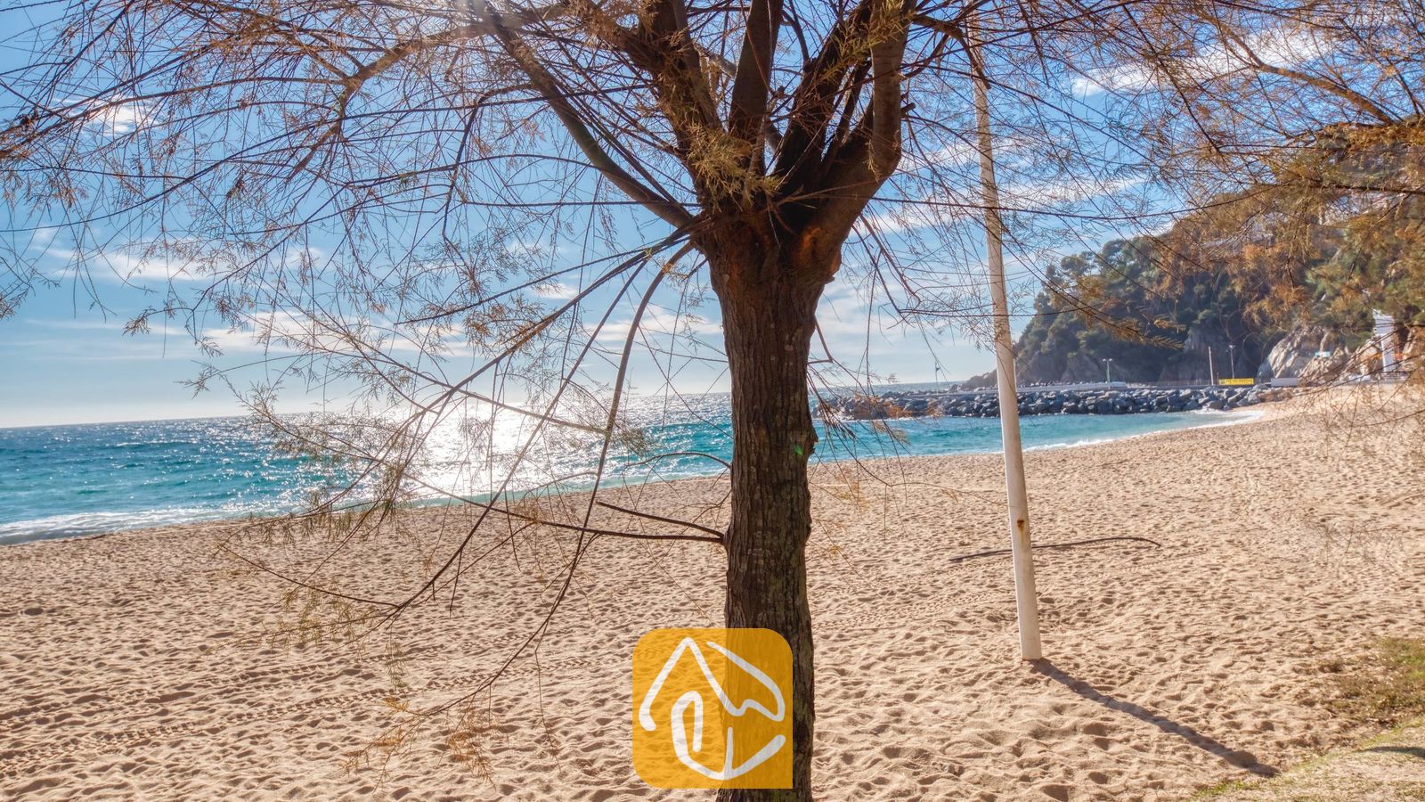 Vakantievilla's Costa Brava Spanje - Villa Blanca - Een kale boomstam en takken omlijsten een zandstrand en de blauwe zee, gezien vanaf Villa Blanca in Spanje.