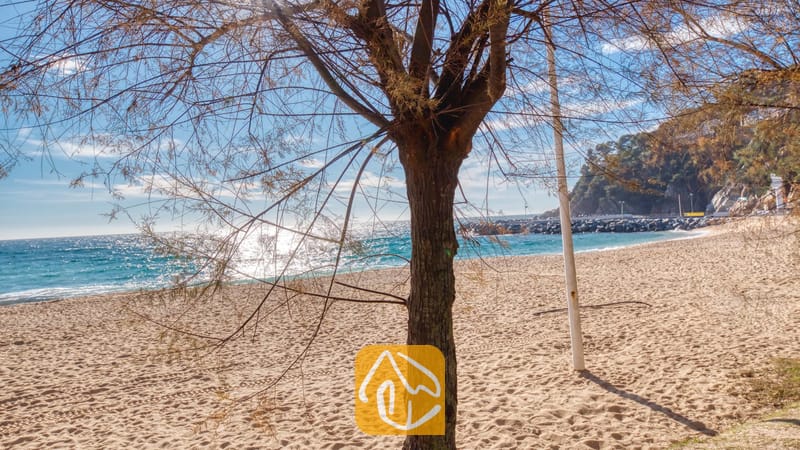 Vakantievilla's Costa Brava Spanje - Villa Blanca - Een kale boomstam en takken omlijsten een zandstrand en de blauwe zee, gezien vanaf Villa Blanca in Spanje.