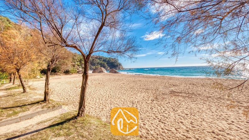 Vakantievilla's Costa Brava Spanje - Villa Blanca - Zandstrand met kale bomen die de blauwe zee en de rotsachtige kustlijn omlijsten nabij Villa Blanca in Spanje