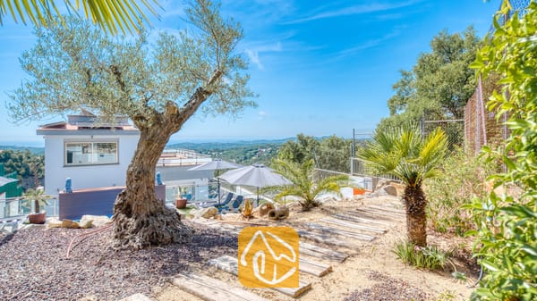 Vakantievilla's Costa Brava Spanje - Villa Sandy Beach - Olijfboom en een pad van houten planken bij Villa Sandy Beach, met uitzicht op een terras met grijze parasols en een verre blik op zee.