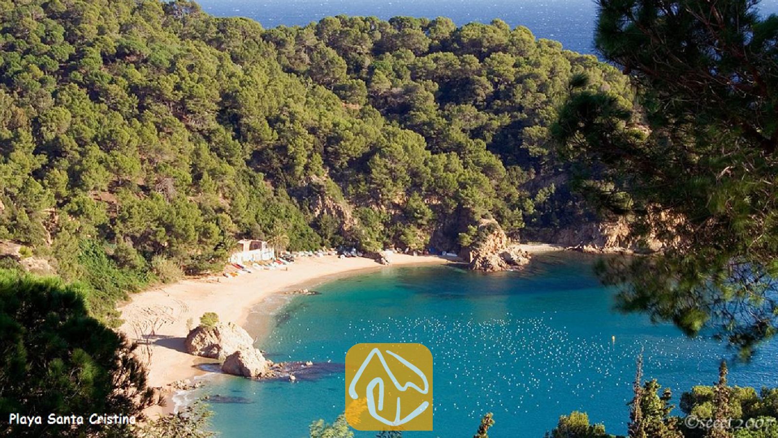 Vakantievilla's Costa Brava Spanje - Villa Fransisca - Een verheven uitzicht vanuit Villa Fransisca over een idyllische baai met een zandstrand, helder turquoise water en weelderige, groen omgeven dennenbossen.