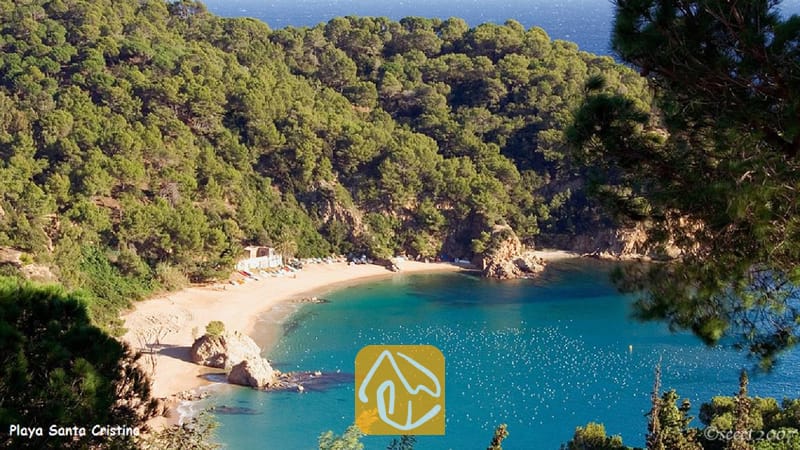 Villas de vacances Costa Brava Espagne - Villa Fransisca - Vue dominante depuis la Villa Fransisca surplombant une crique de sable aux eaux turquoise, entourée de collines verdoyantes couvertes de pins qui bordent la baignade.