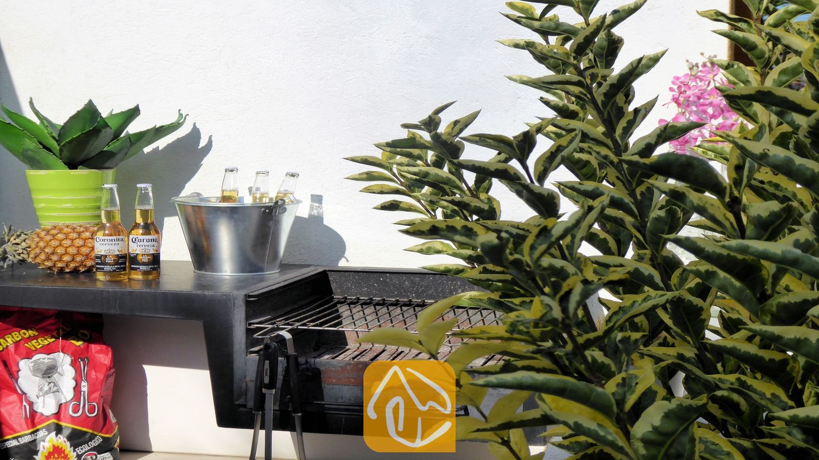 Vakantievilla's Costa Brava Spanje - Villa Fransisca - Buiten barbecuegrill bij Villa Fransisca, met gekoelde flesjes bier in een metalen ijsemmer, verse ananassen en groene potplanten tegen een witte muur.