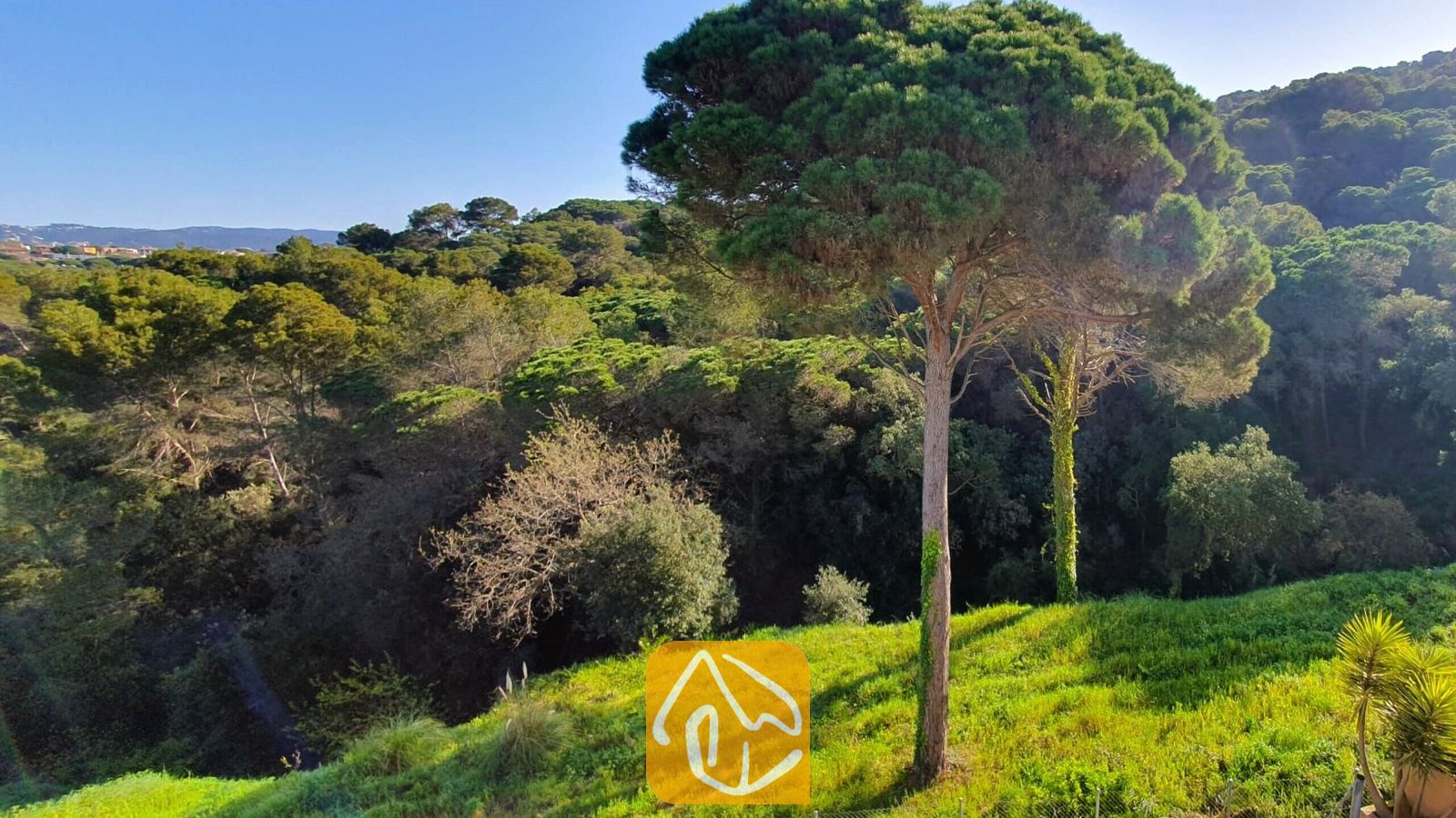 Vakantievilla's Costa Brava Spanje - Villa Fransisca - Panoramisch uitzicht op een groen dennenbos en de heuvels rondom Villa Fransisca onder een blauwe hemel