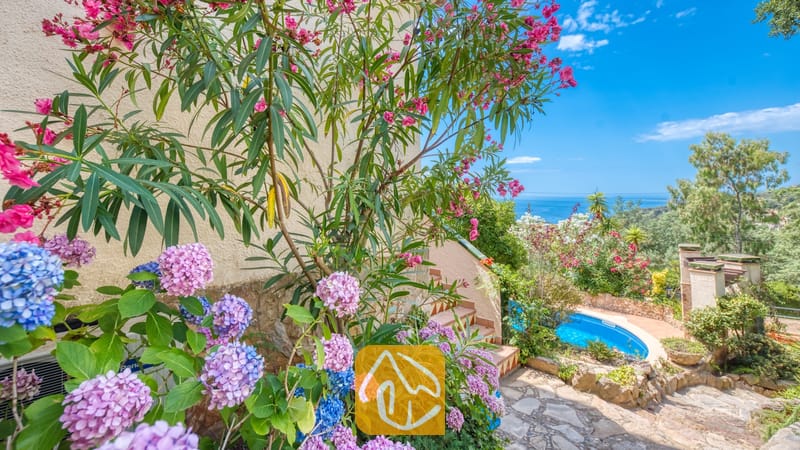 Vakantievilla's Costa Brava Spanje - Villa Cleo - Roze en blauwe hortensia's en bloeiende oleanderstruiken omlijsten een stenen buitentrap die naar beneden leidt richting het zwembad in de tuin bij Villa Cleo.