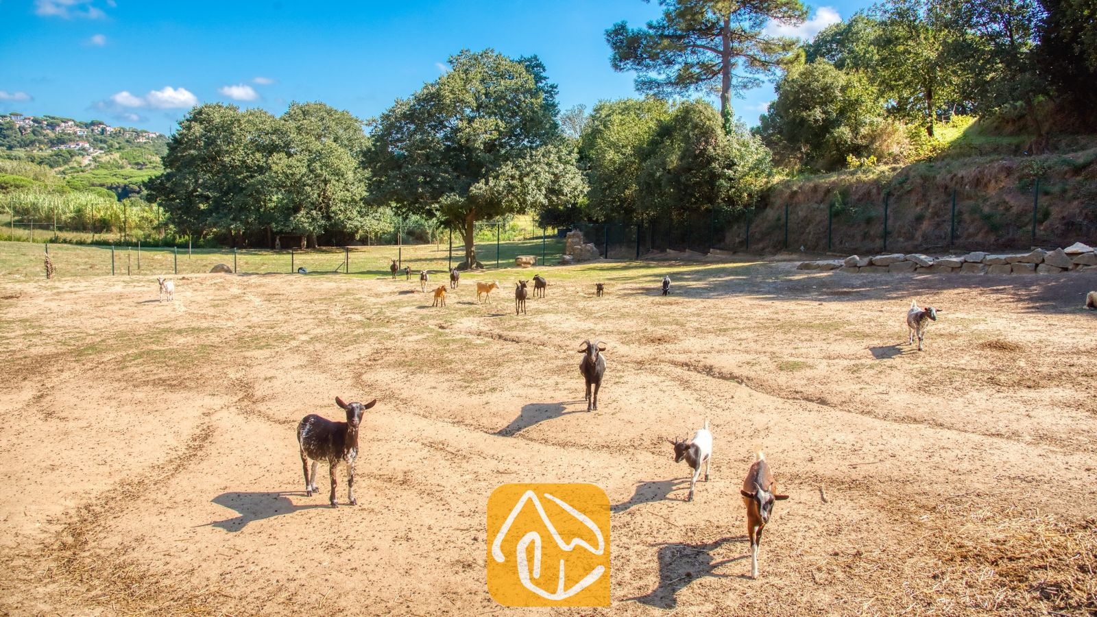 Vakantievilla's Costa Brava Spanje - Villa Paradise - Meerdere geiten die rondlopen in een grote, omheinde aarden buitenplaats met groene bomen en heuvels op de achtergrond bij Villa Paradise in Spanje.