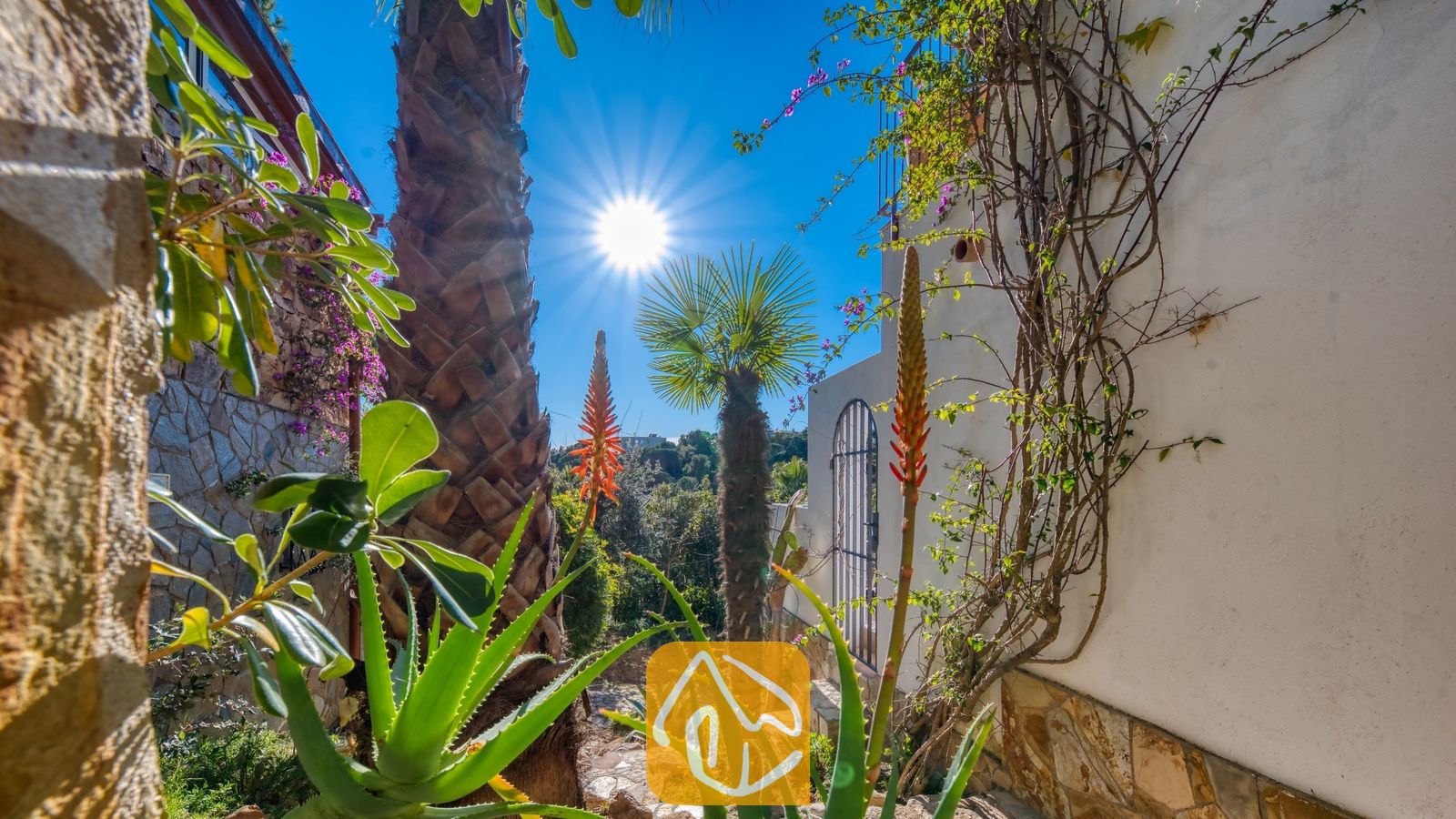 Vakantievilla's Costa Brava Spanje - Casa AdoRa - Zonnige binnenplaats bij Casa AdoRa met palmbomen, bloeiende aloëplanten en klimplanten tegen een wit buitenmuur.
