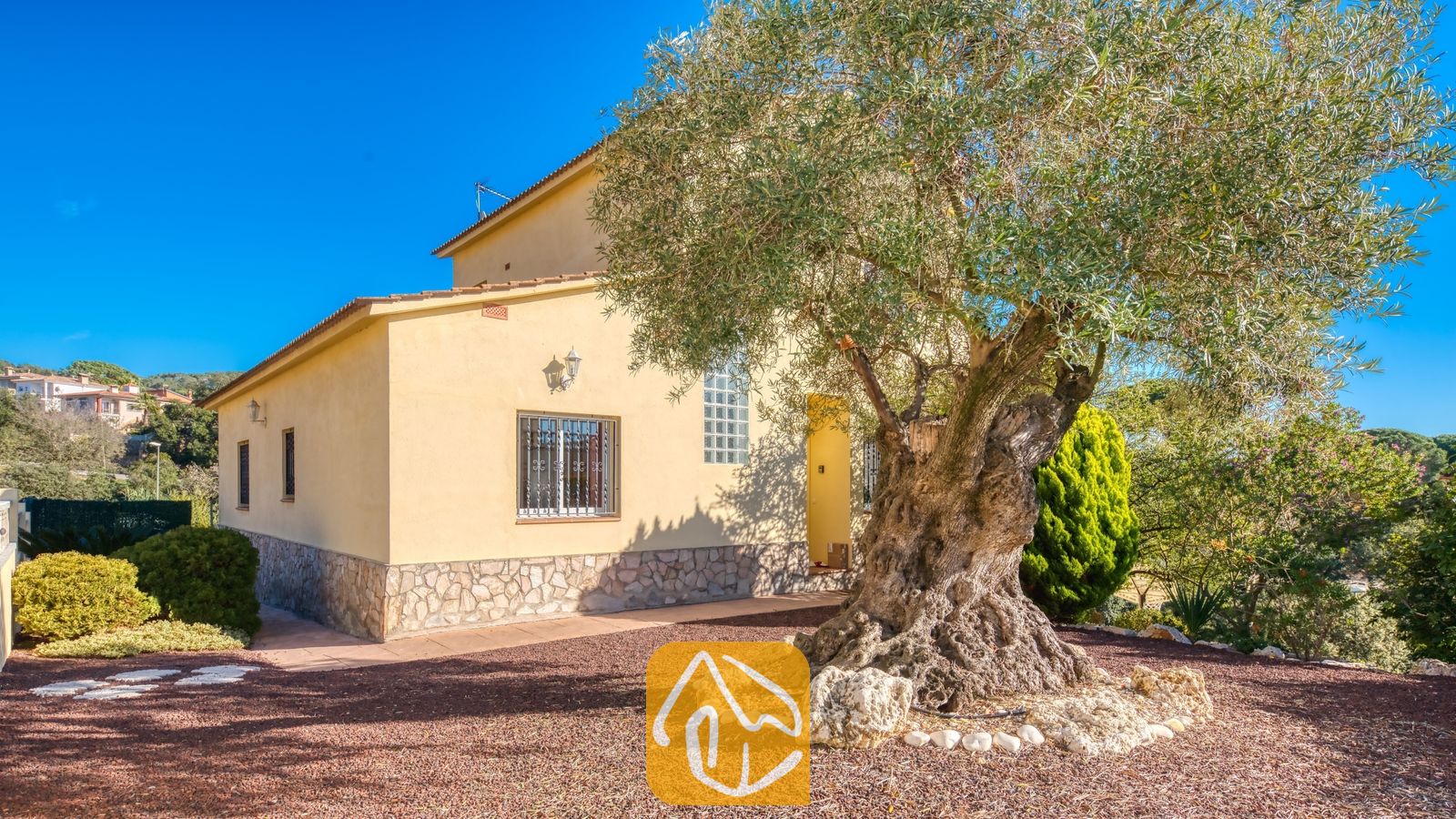 Vakantievilla's Costa Brava Spanje - Villa Holiday - Grote, gnoestachtige olijfboom voor de gele buitenmuren van Villa Holiday onder een helderblauwe hemel