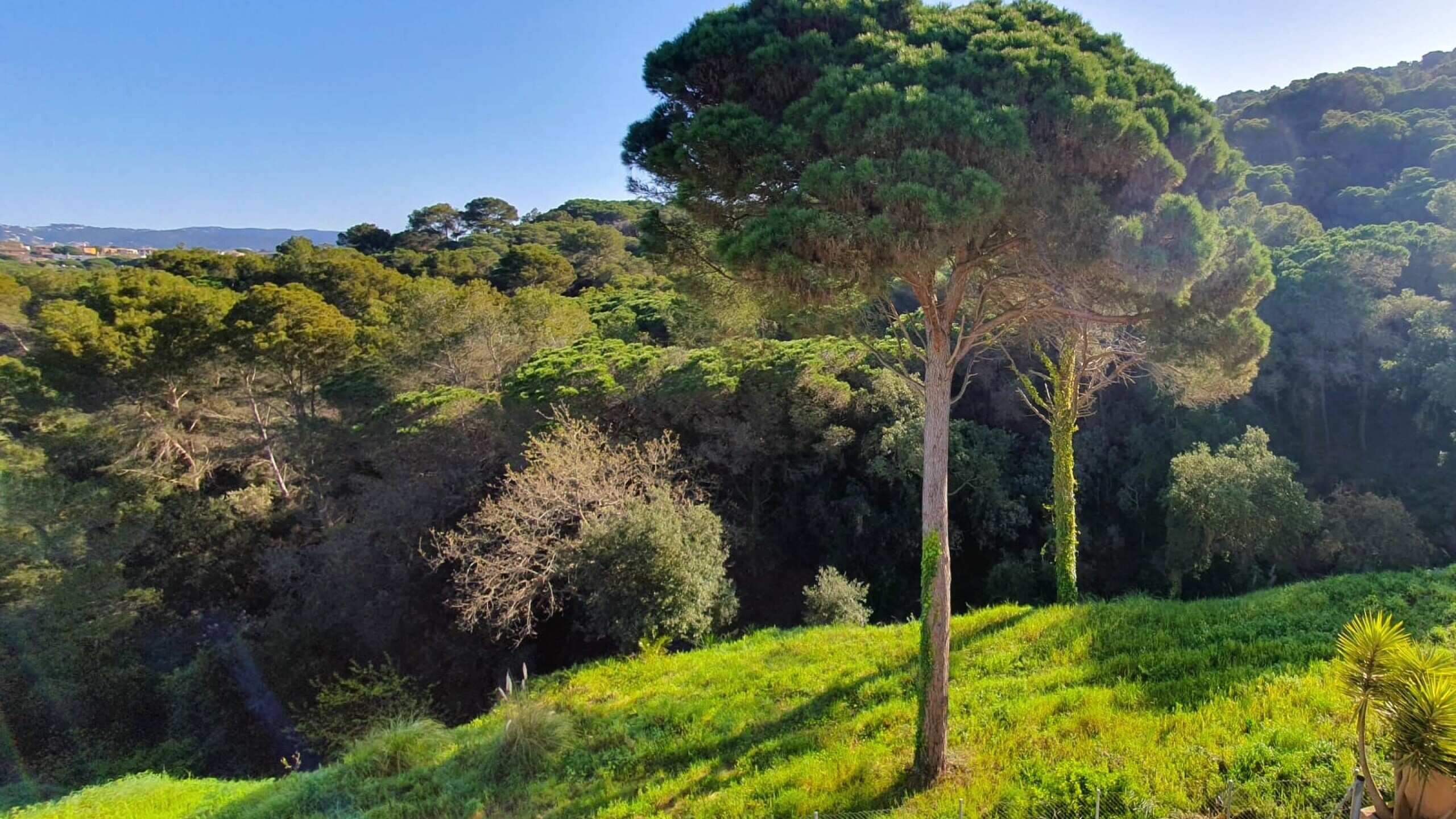 Holiday villas Costa Brava Spain - Villa Fransisca - One of the views