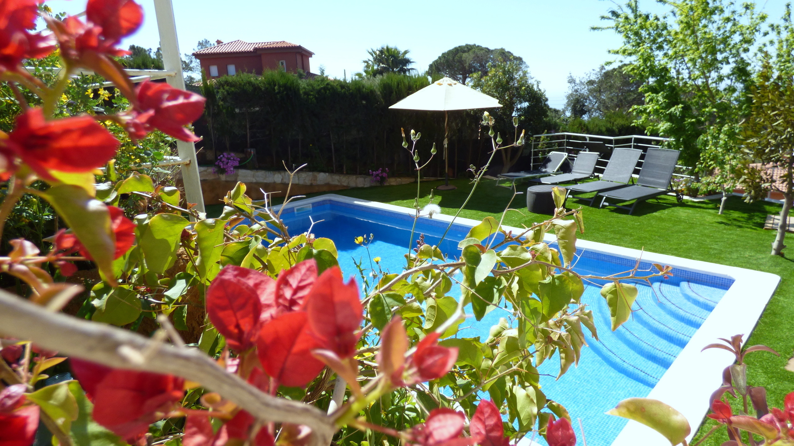 Holiday villas Costa Brava Spain - Villa Noa - Garden