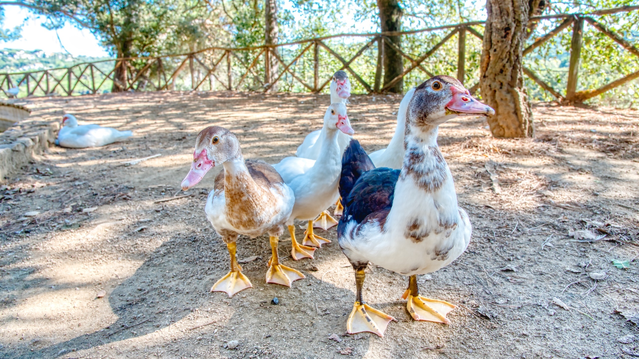 Holiday villas Costa Brava Spain - Villa Paradise - One of the views