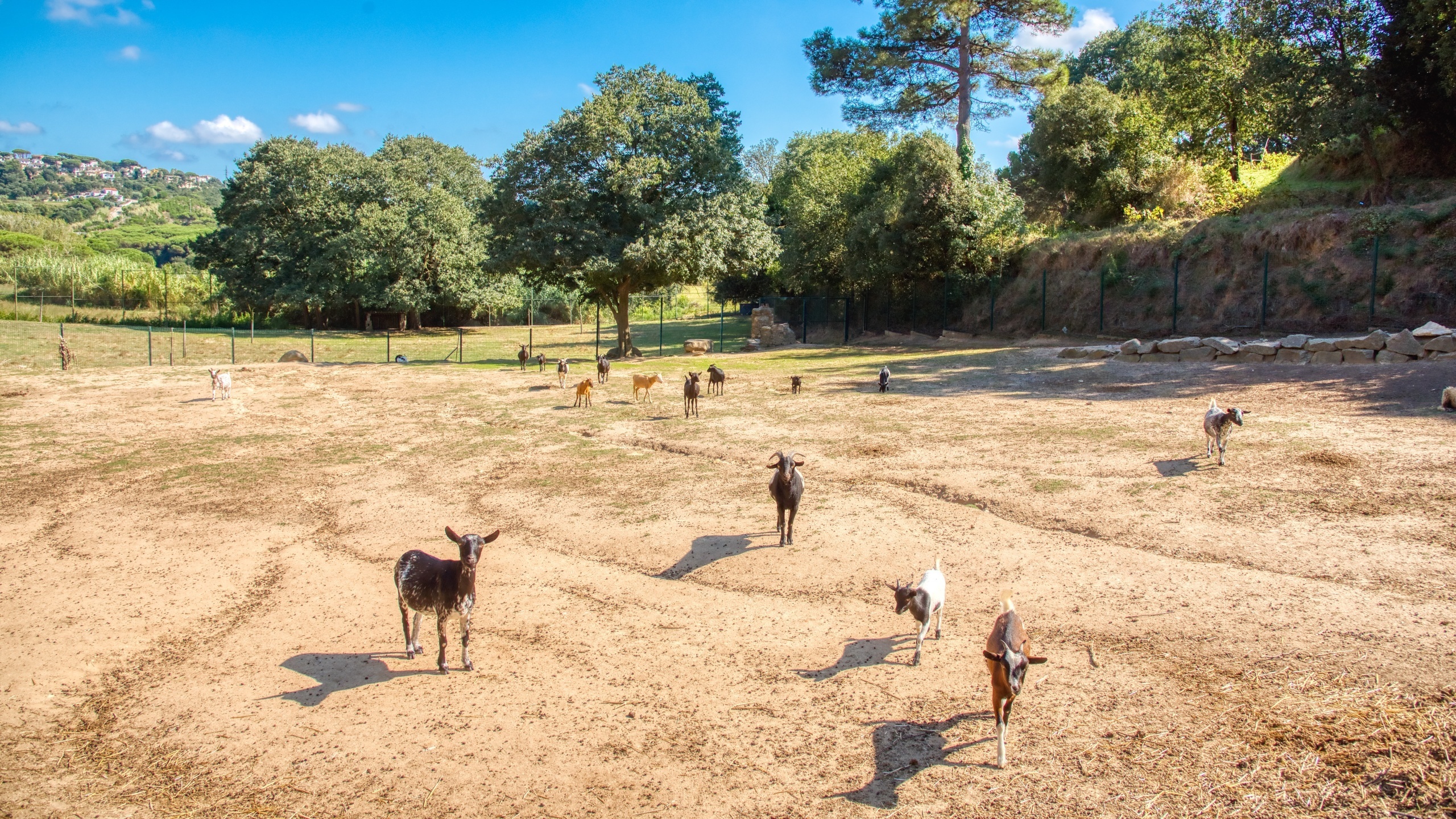 Holiday villas Costa Brava Spain - Villa Paradise - Villa outside